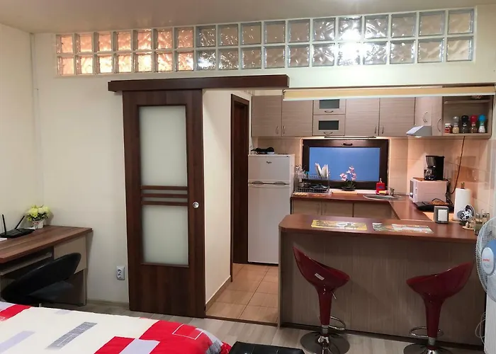 Apartament Haffner *