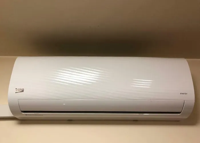 Haffner * 克卢日-纳波卡