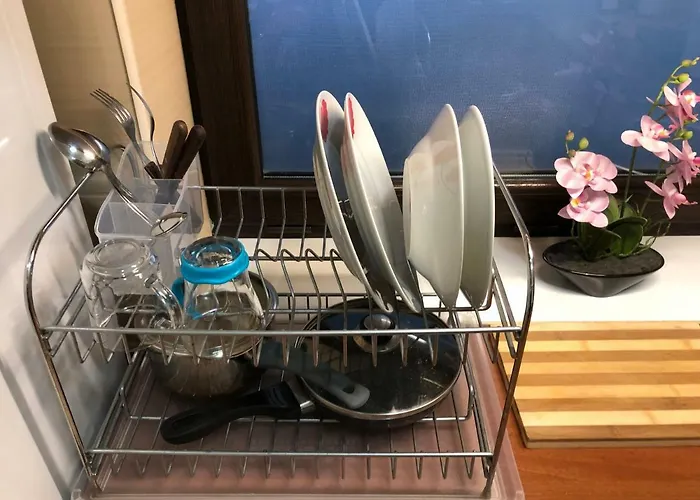 Haffner * 克卢日-纳波卡